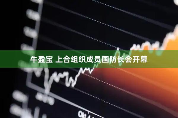 牛盈宝 上合组织成员国防长会开幕