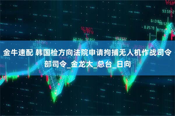 金牛速配 韩国检方向法院申请拘捕无人机作战司令部司令_金龙大_总台_日向